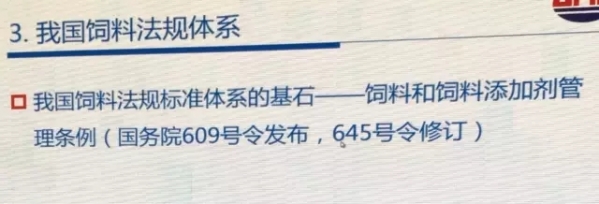 35.webp.jpg