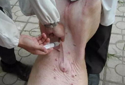 腹腔注射為什么治腹瀉效果好？怎樣操作？