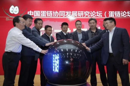 協(xié)同打造優(yōu)質(zhì)放心蛋品 助力禽蛋產(chǎn)業(yè)轉(zhuǎn)型升級 ——“中國蛋鏈協(xié)同發(fā)展研究論壇”在...
