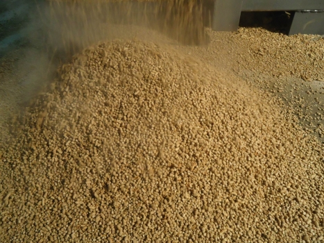 原料粉碎粒度和飼料形態(tài)對動(dòng)物影響的研究