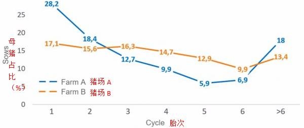 如何減少后備母豬更新率、維持較好的胎齡結(jié)構(gòu)？