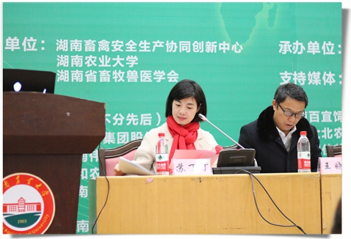 蘇丁丁.jpg