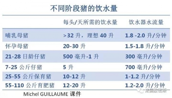 技術(shù)控 | 如何增加哺乳母豬的飲水量？