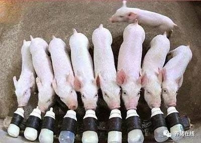 微信圖片_20180314090804.jpg