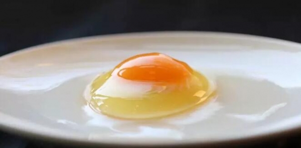 飼料對(duì)雞蛋大小的影響