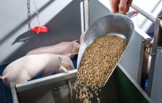 飼料制粒機(jī)堵機(jī)原因簡析及處理方法