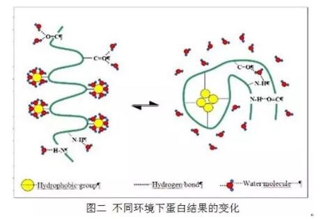 酸溶蛋白能否用來判定發(fā)酵豆粕中的小肽含量？【三】