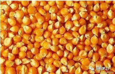 飼用原料成分對(duì)制粒工藝效果的影響