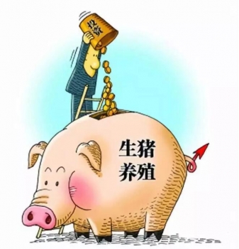 財(cái)政部：支持豬業(yè)發(fā)展，中央資金已下達(dá)完畢！