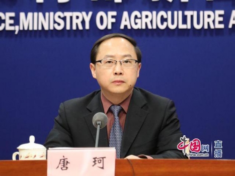 農(nóng)業(yè)農(nóng)村部：2020年我國生豬產(chǎn)能有望逐步恢復