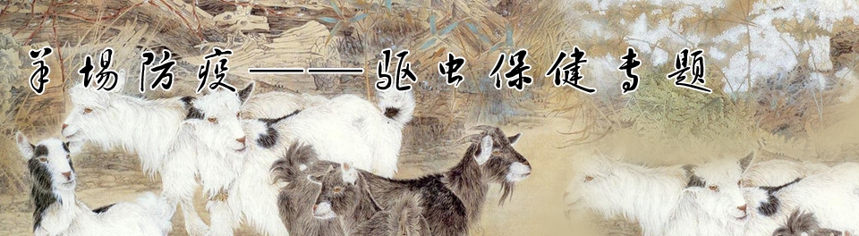 羊場(chǎng)防疫--驅(qū)蟲保健專題