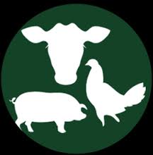 全球畜牧飼料科技發(fā)展