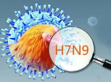 農(nóng)業(yè)部批準(zhǔn)廣東先行先試，實施H7N9全面免疫