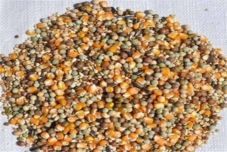 自配料也要規(guī)范了！山東發(fā)布22條相關(guān)措施規(guī)范自配料用戶！